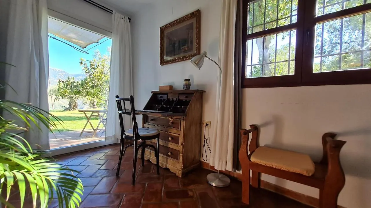 Tropical Studio Orgiva