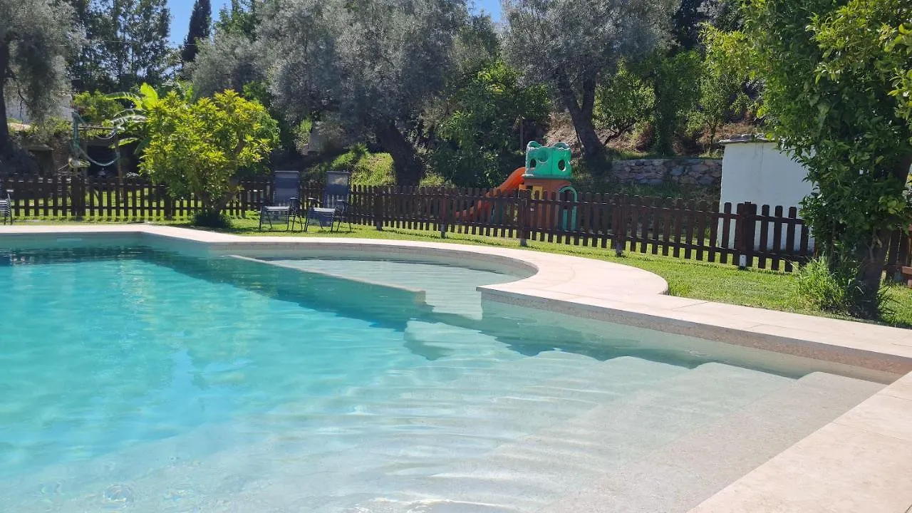 Tropical Studio Orgiva Spain