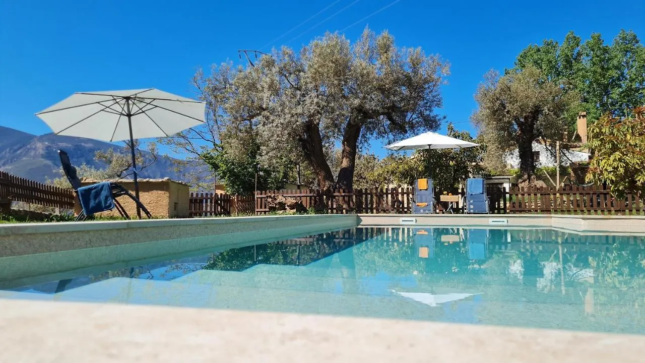 Tropical Studio Apartment Orgiva