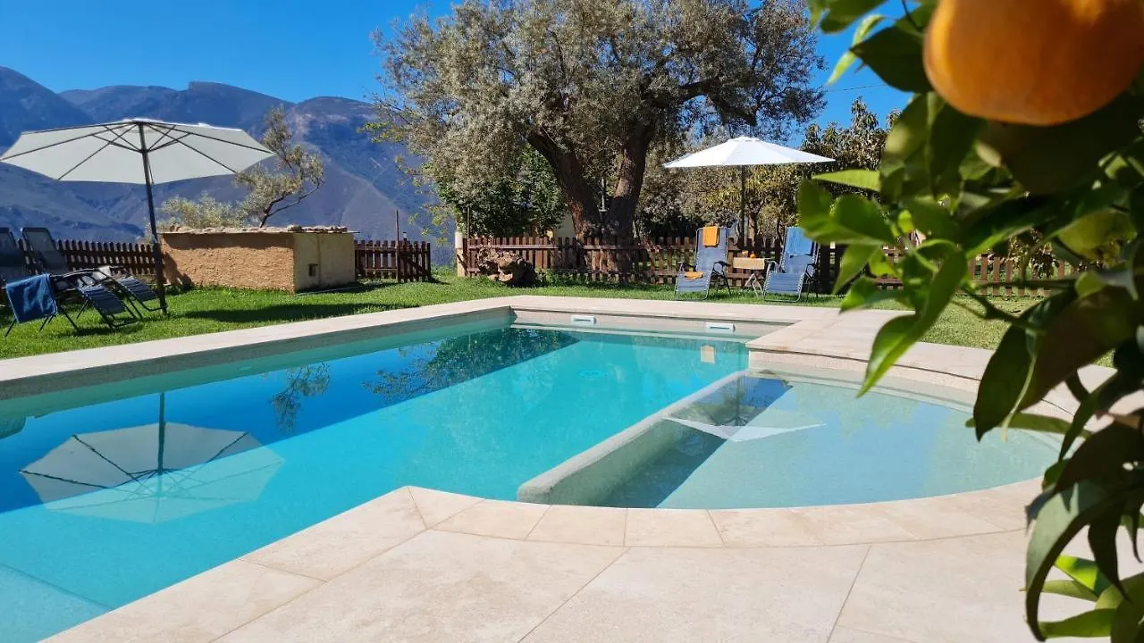 Tropical Studio location